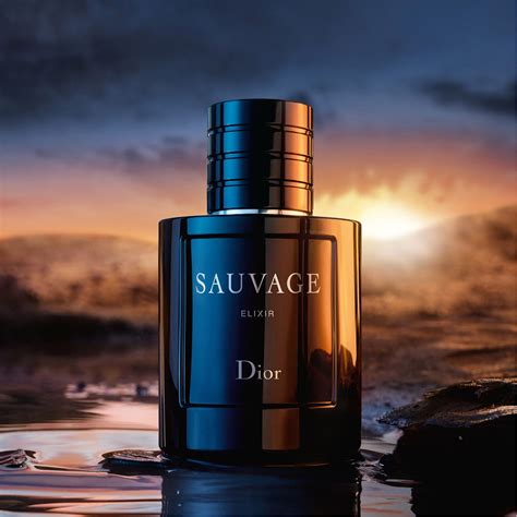 eau de parfum dior sauvage elixir|Sauvage Elixir 100ml price.